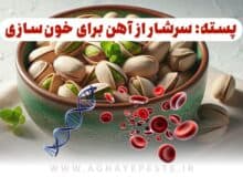 پسته؛ سرشار از آهن برای خون‌سازی