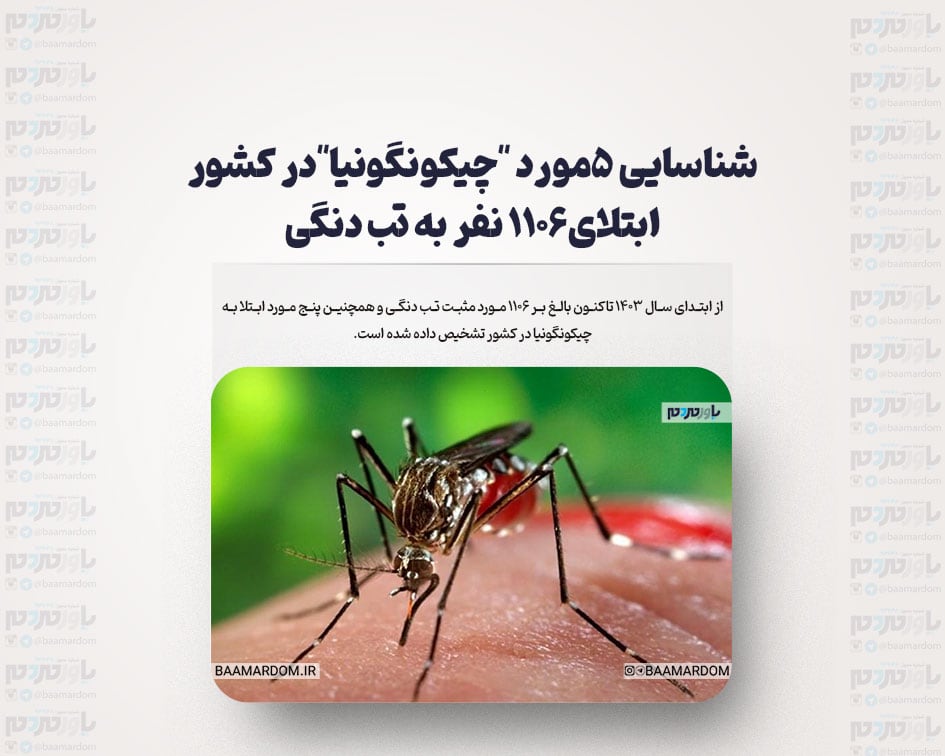 شناسایی ۵مورد “چیکونگونیا”در کشور/ ابتلای۱۱۰۶ نفر به تب دنگی
