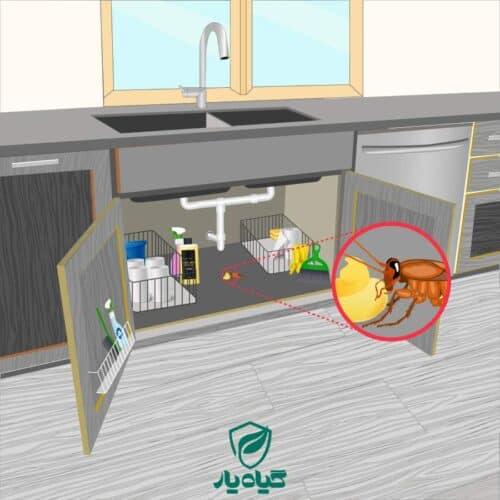 بهترین مارک خمیر سوسک کش کدام است؟ 5 سوسک ریز آشپزخانه در حال خوردن طعمه سوسک - داروی سوسک - خمیر سوسک کش کافی