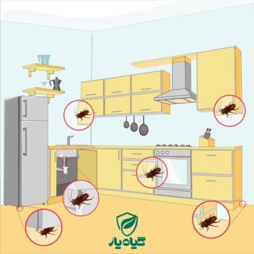 بهترین مارک خمیر سوسک کش کدام است؟ 3 نقاط مشکوک به سوسک ریز کابینت