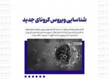 شناسایی ویروس کرونای جدید