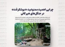 چرایی اهمیت ممنوعیت «بوشکرفت» در جنگل‌های هیرکانی
