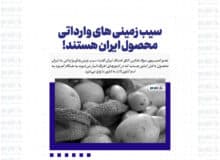 سیب زمینی های وارداتی محصول ایران هستند!