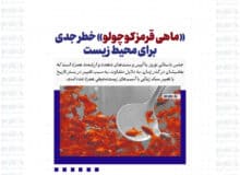 «ماهی قرمز کوچولو» خطر جدی برای محیط زیست