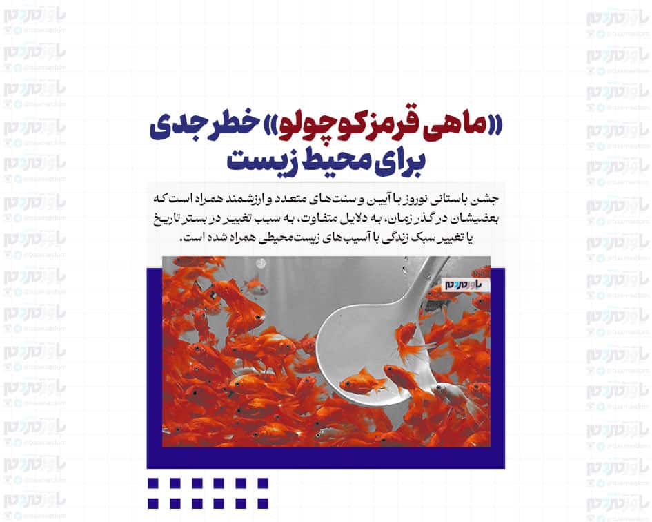 «ماهی قرمز کوچولو» خطر جدی برای محیط زیست