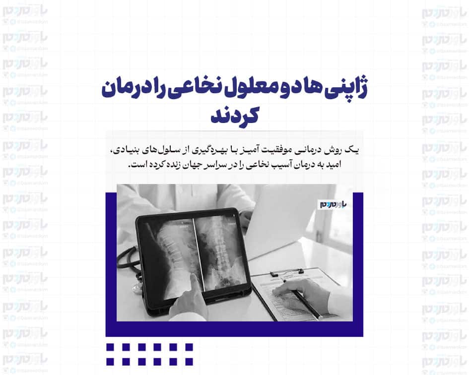 ژاپنی ها دو معلول نخاعی را درمان کردند
