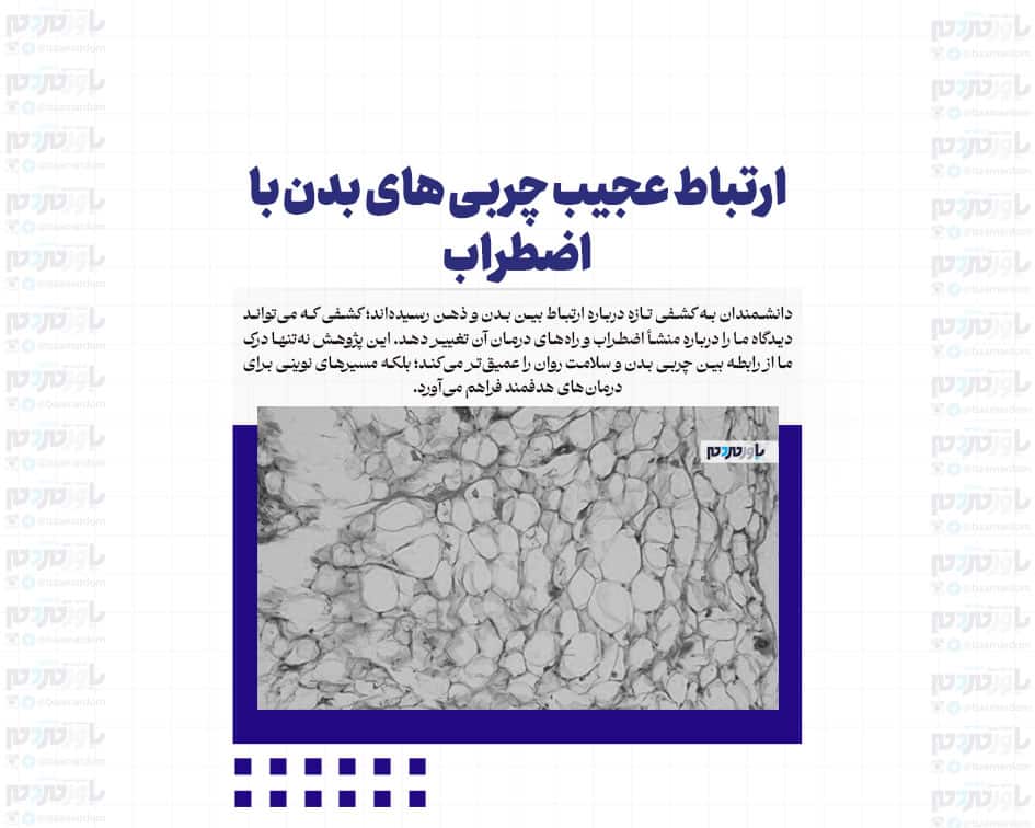 ارتباط عجیب چربی های بدن با اضطراب