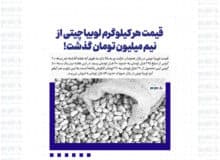 قیمت هر کیلوگرم لوبیاچیتی از نیم میلیون تومان گذشت!