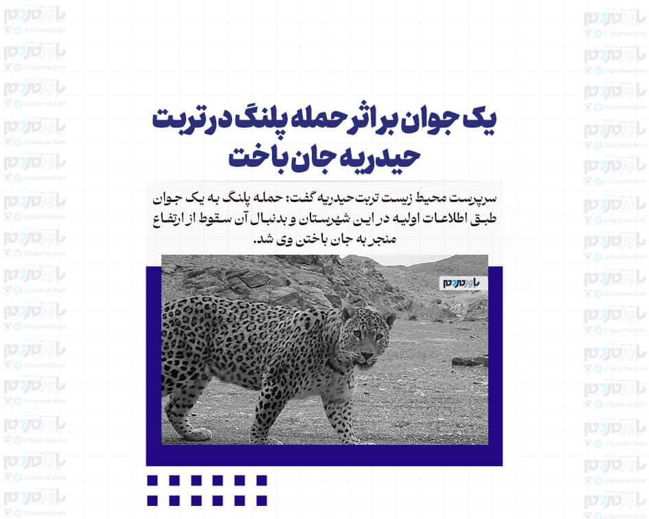 یک جوان بر اثر حمله پلنگ در تربت حیدریه جان باخت