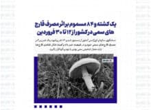 یک کشته و ۸۴ مسموم بر اثر مصرف قارچ های سمی در کشور از ۱۲ تا ۳۰ فروردین