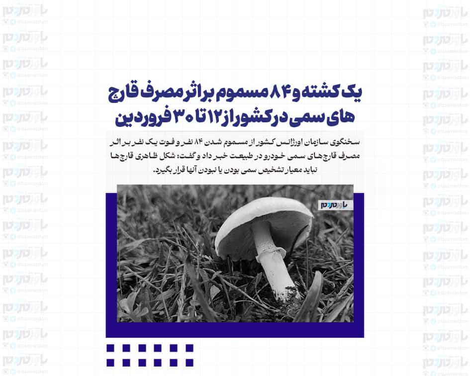 یک کشته و ۸۴ مسموم بر اثر مصرف قارچ های سمی در کشور از ۱۲ تا ۳۰ فروردین
