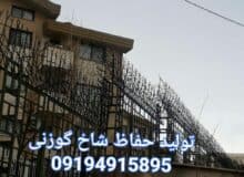 تاریخچه حفاظ شاخ گوزنی: از دیروز تا امروز