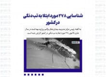 شناسایی ۲۷۸ مورد ابتلا به تب دنگی در کشور