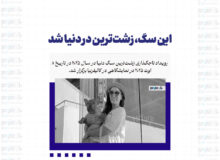 این سگ، زشت‌ترین در دنیا شد