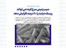 سیب زمینی سرخ کرده می تواند ریسک دیابت را ۲۰ درصد افزایش دهد