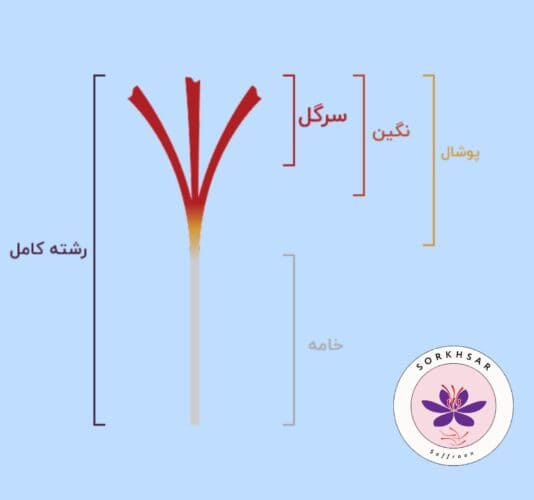 انواع زعفران ایران