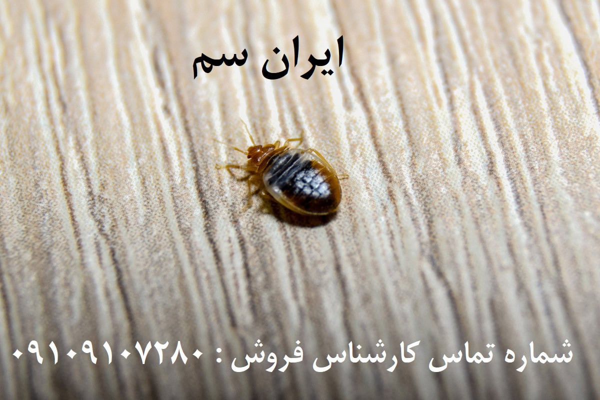 ساس ایران سم پیرانا