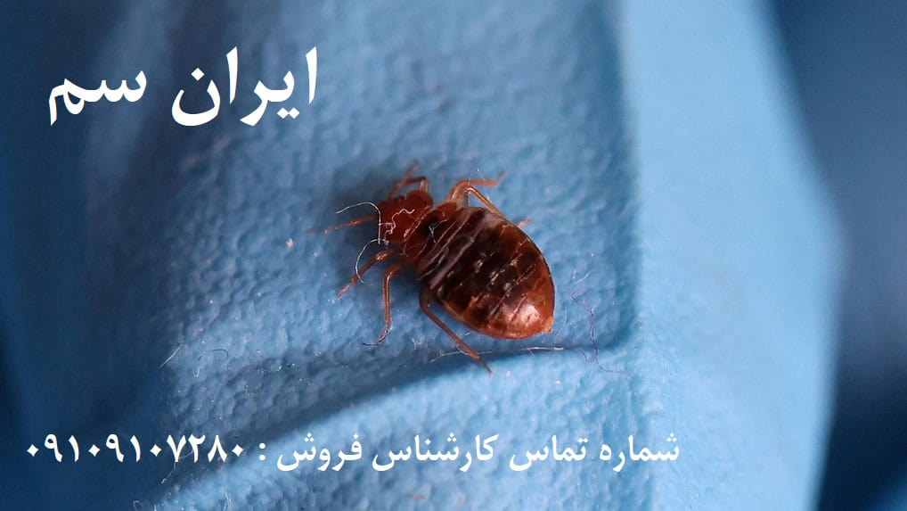 ساس ایران سم کراس فایر