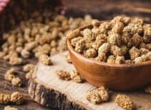 مقایسه توت خشک درجه یک با توت معمولی: ارزش غذایی و فواید