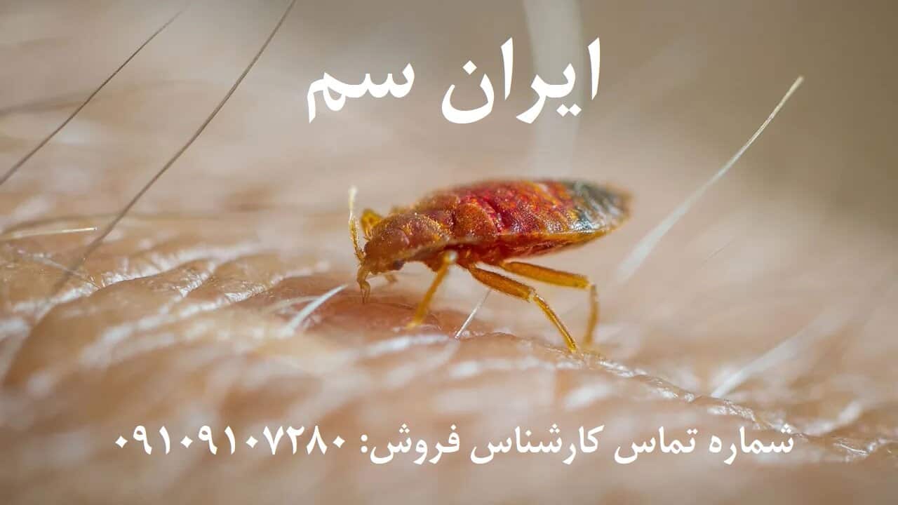 ساس ایران سم بدباگ