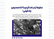 سقوط از درخت گردو با ۵۲ مصدوم و یک فوتی!