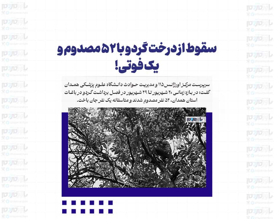 سقوط از درخت گردو با ۵۲ مصدوم و یک فوتی!