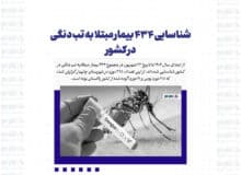 شناسایی ۴۳۴ بیمار مبتلا به تب دنگی در کشور