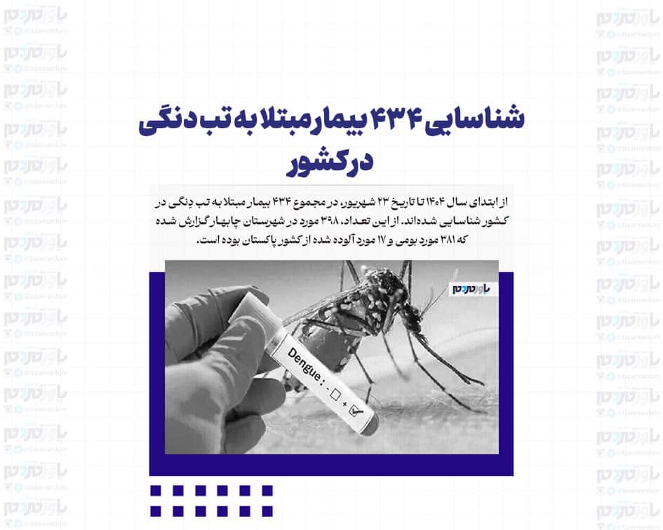 شناسایی ۴۳۴ بیمار مبتلا به تب دنگی در کشور