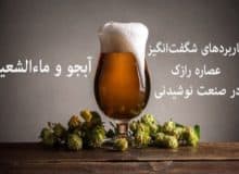 کاربردهای شگفت‌انگیز عصاره رازک در صنعت نوشیدنی (آبجو و ماء الشعیر)