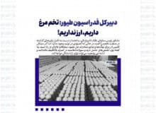 دبیرکل فدراسیون طیور: تخم مرغ داریم، ارز نداریم!