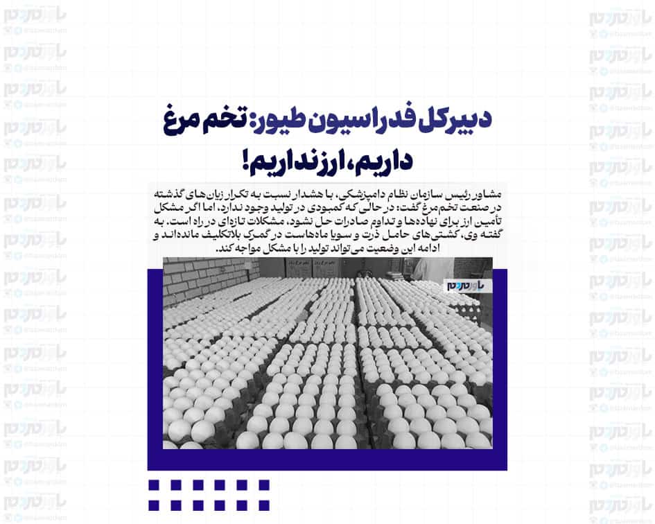 دبیرکل فدراسیون طیور: تخم مرغ داریم، ارز نداریم!