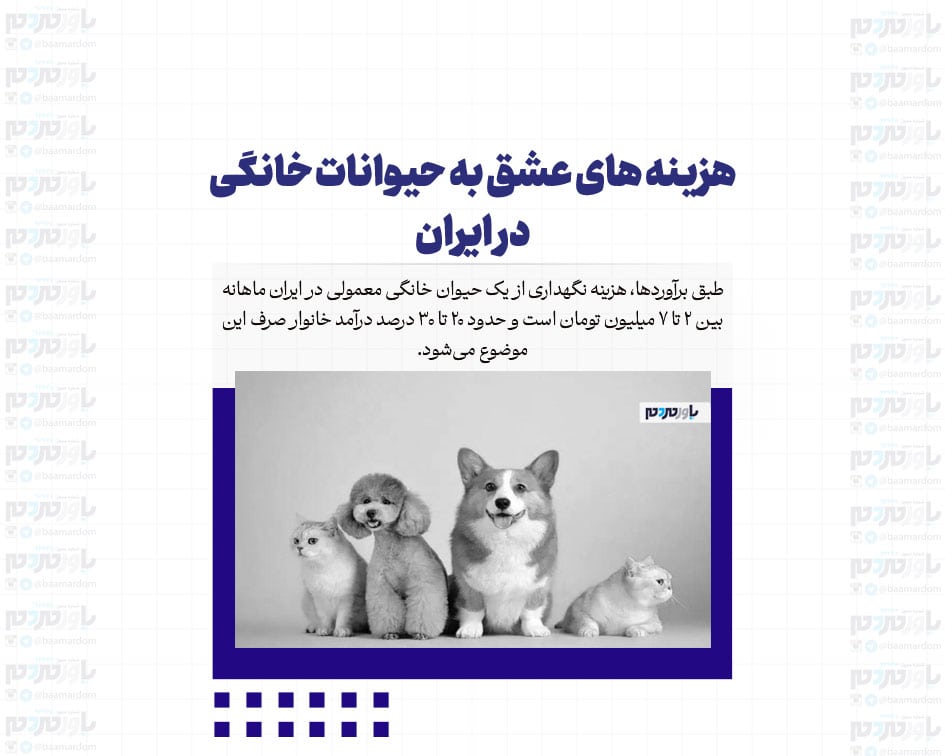 هزینه های عشق به حیوانات خانگی در ایران