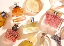 راز انتخاب عطر متناسب با فصل: از روزهای گرم تابستان تا شب‌ های سرد پاییز