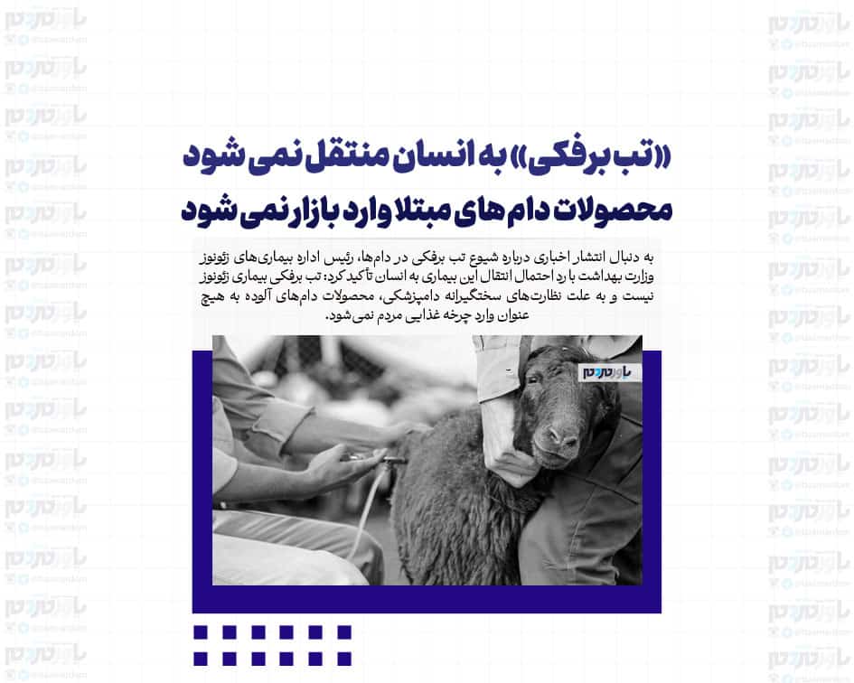 «تب برفکی» به انسان منتقل نمی شود / محصولات دام های مبتلا وارد بازار نمی شود