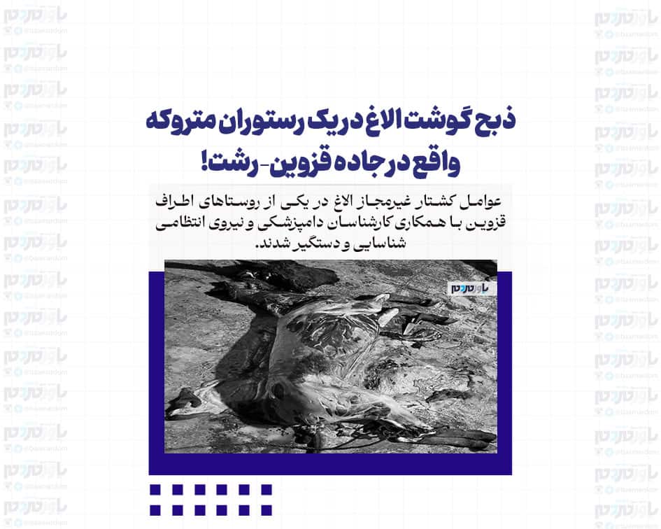 ذبح گوشت الاغ در یک رستوران متروکه واقع در جاده قزوین–رشت!