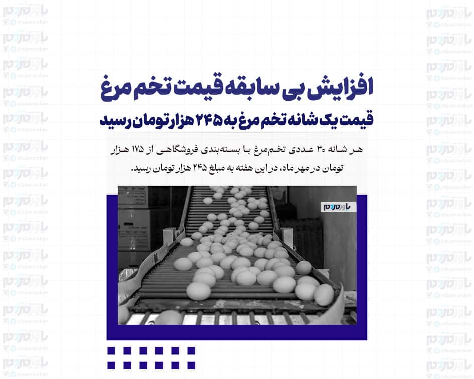 افزایش بی سابقه قیمت تخم مرغ / قیمت یک شانه تخم مرغ به ۲۴۵ هزار تومان رسید