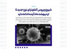 شیوع ویروس آنفلونزای نوع جدید تا اردیبهشت ماه آینده ادامه دارد