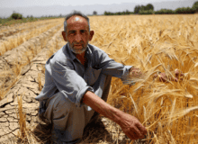 تاثیر تغییرات آب و هوایی بر کشاورزی ایران: چالش‌ها و راهکارها