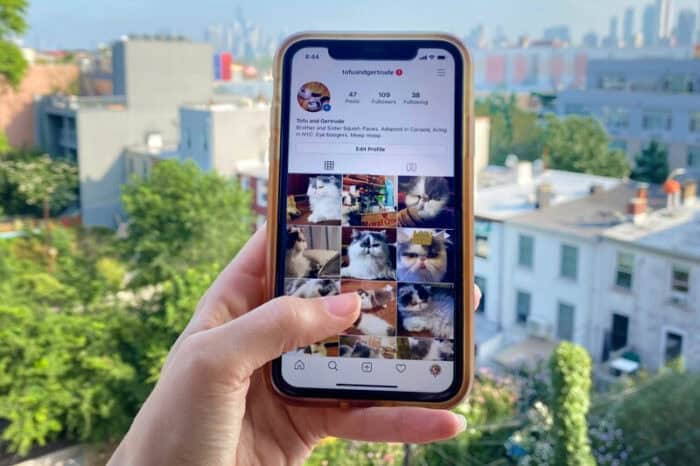 بالا بردن پیج اینستاگرام