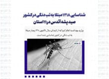 شناسایی 1218 مبتلا به تب دنگی در کشور/ صید پشه آئدس در 11 استان