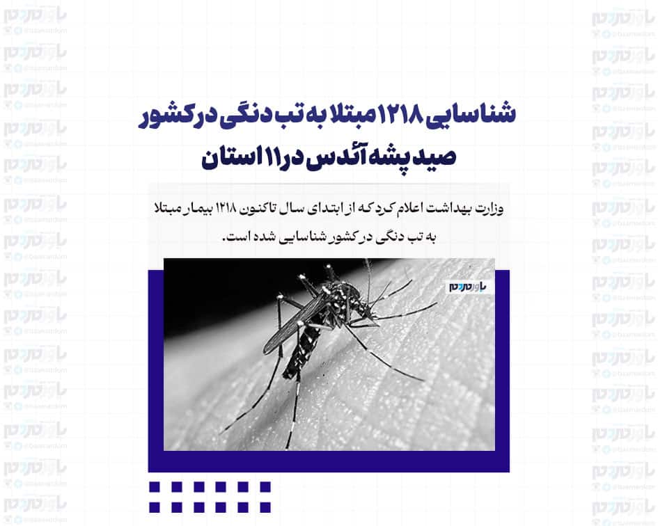 شناسایی 1218 مبتلا به تب دنگی در کشور/ صید پشه آئدس در 11 استان