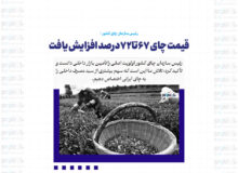 قیمت چای ۶۷ تا۷۲درصد افزایش یافت