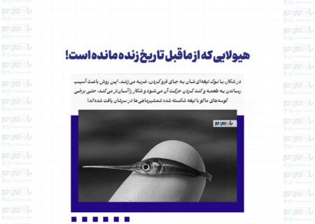 هیولایی که از ماقبل تاریخ زنده مانده است!