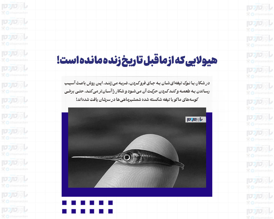 هیولایی که از ماقبل تاریخ زنده مانده است!
