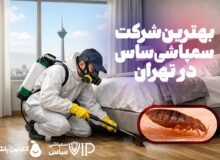 بهترین شرکت سمپاشی ساس در تهران کدام است؟ راهنمای انتخاب شرکت مطمئن با خدمات تضمینی