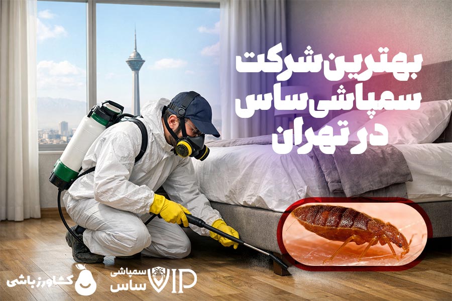 بهترین شرکت سمپاشی ساس در تهران کدام است؟ راهنمای انتخاب شرکت مطمئن با خدمات تضمینی