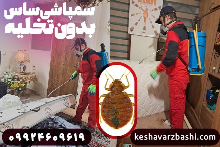 سمپاشی ساس بدون تخلیه منزل
