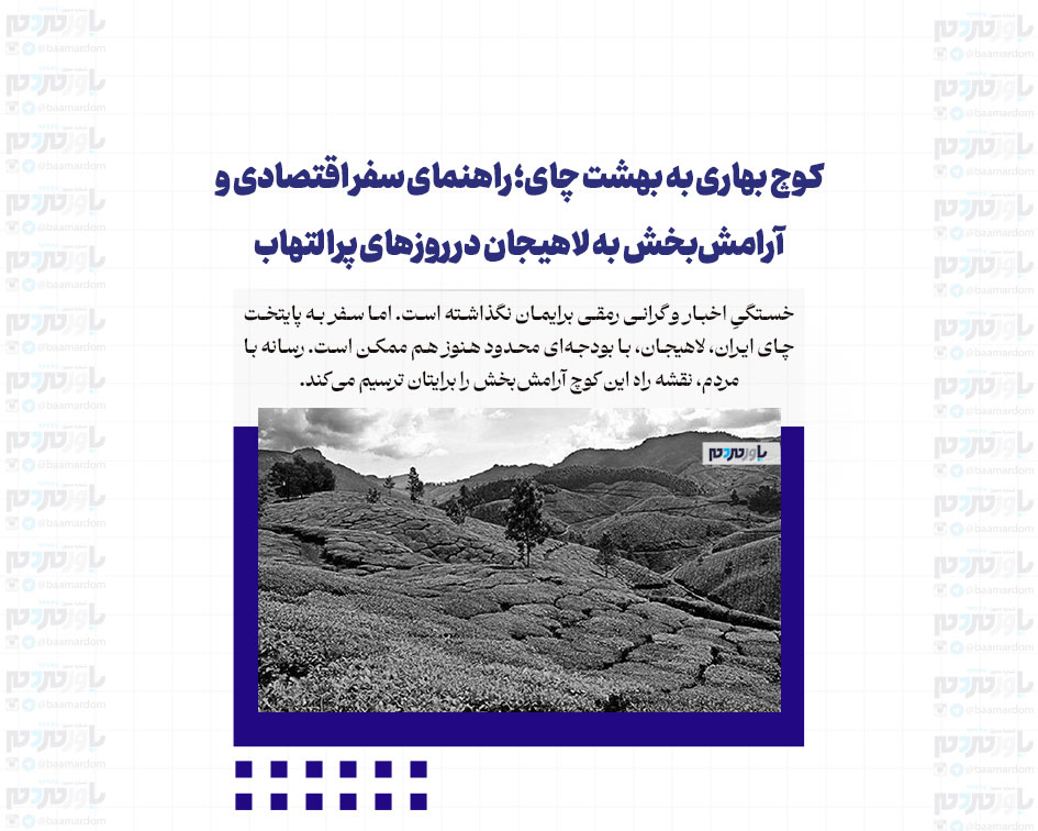 کوچ بهاری به بهشت چای؛ راهنمای سفر اقتصادی و آرامش‌بخش به لاهیجان در روزهای پرالتهاب